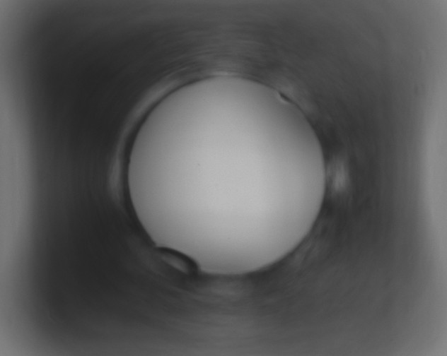 X0000100770292200807031216
