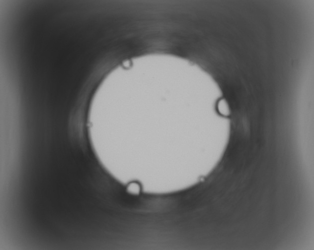 X0000100770293200807031216