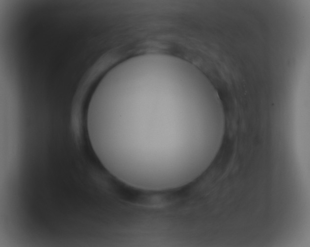 X0000100770295200807031216