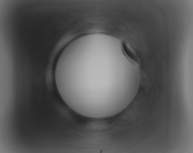 X0000100770296200807031216