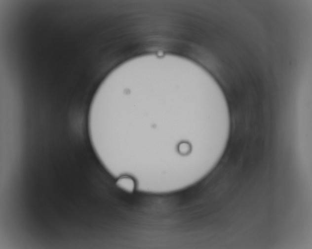 X0000100770297200807031216