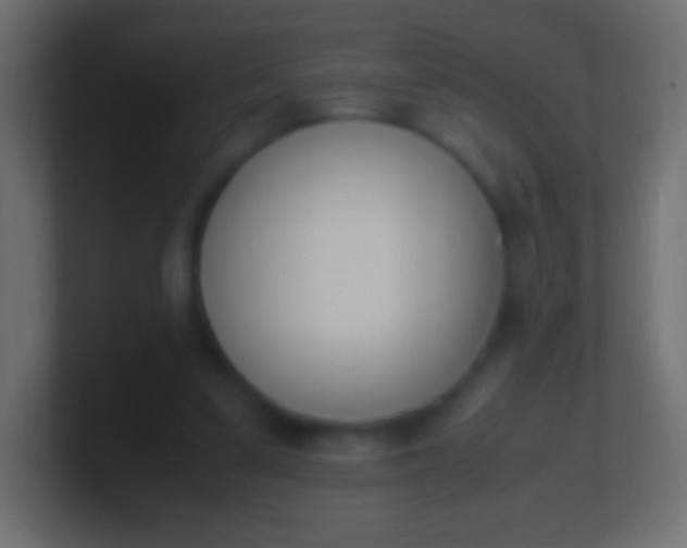 X0000100770299200807031216