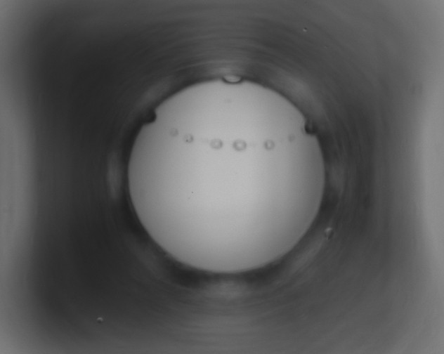 X0000100770304200807031216