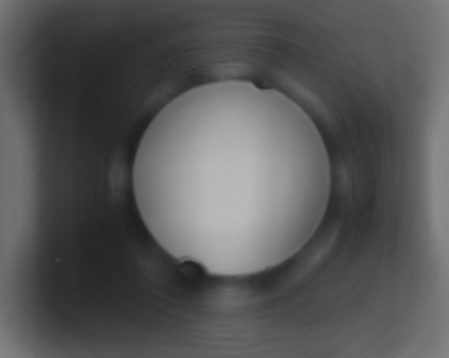 X0000100770308200807031216