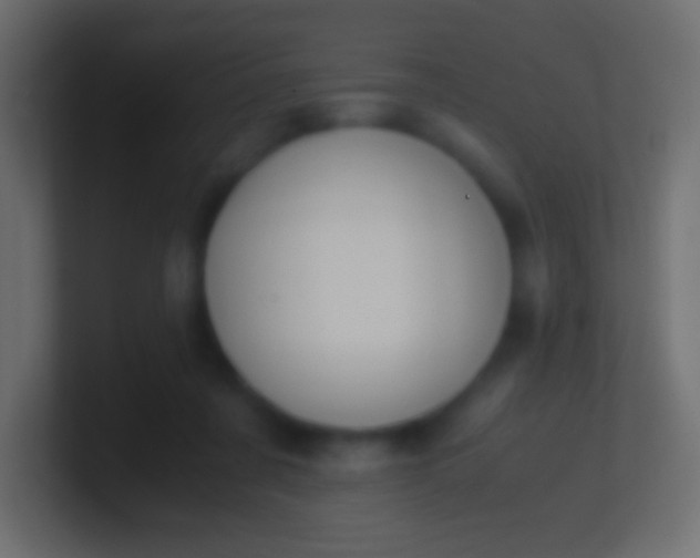 X0000100770311200807031216