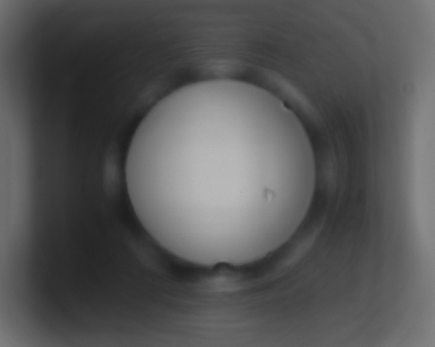 X0000100770312200807031216