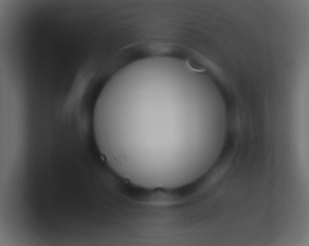 X0000100770315200807031216