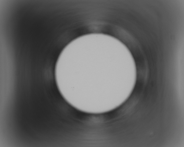X0000100770317200807031216