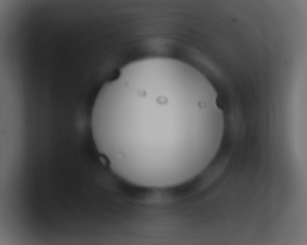 X0000100770320200807031216