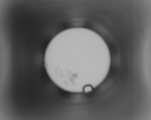 X0000100770321200807031216