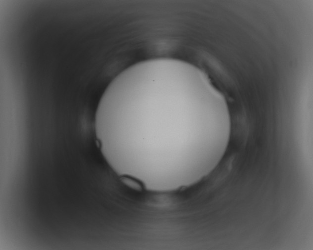 X0000100770324200807031215