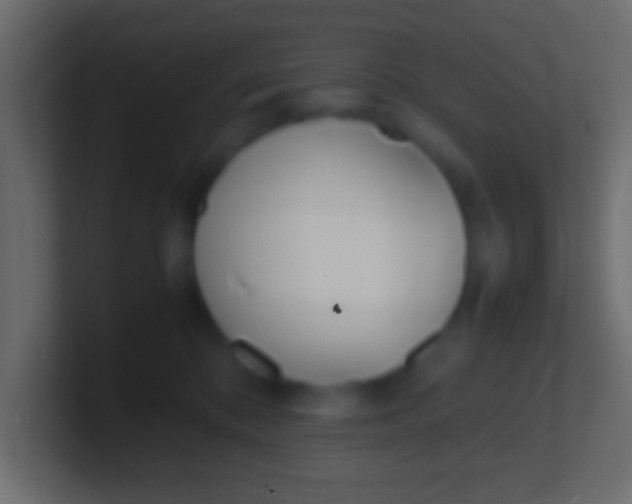 X0000100770328200807031215