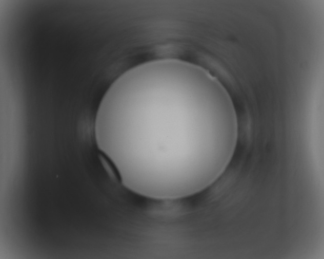 X0000100770329200807031215