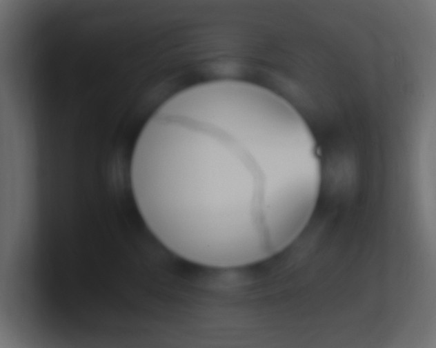 X0000100770330200807031215