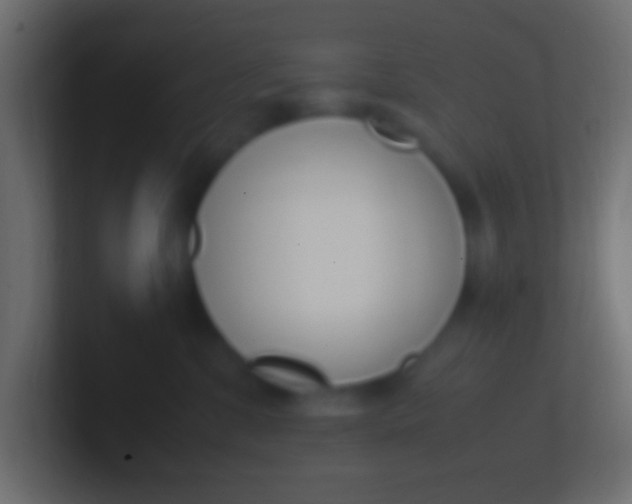 X0000100770331200807031215