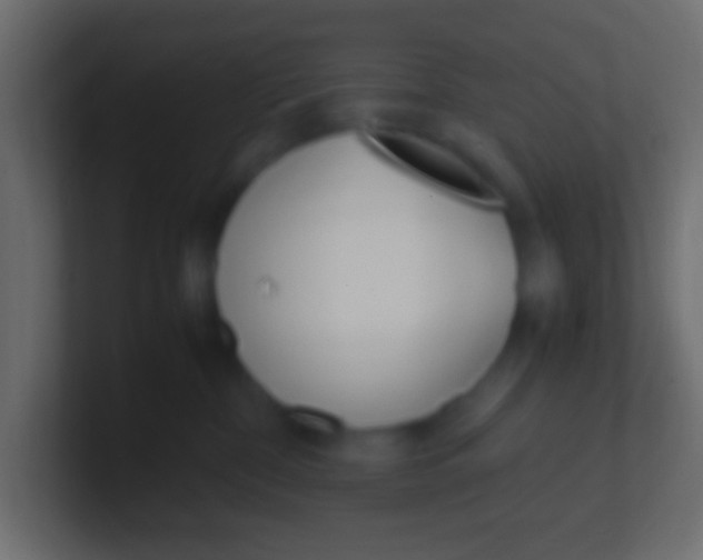 X0000100770332200807031215