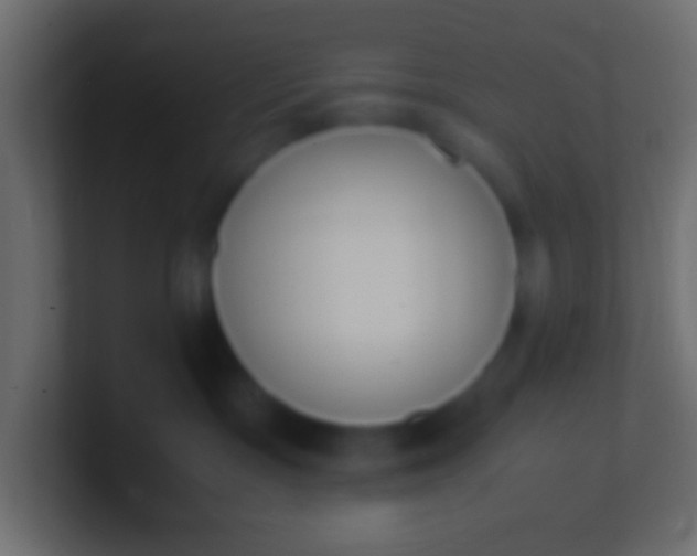 X0000100770333200807031215