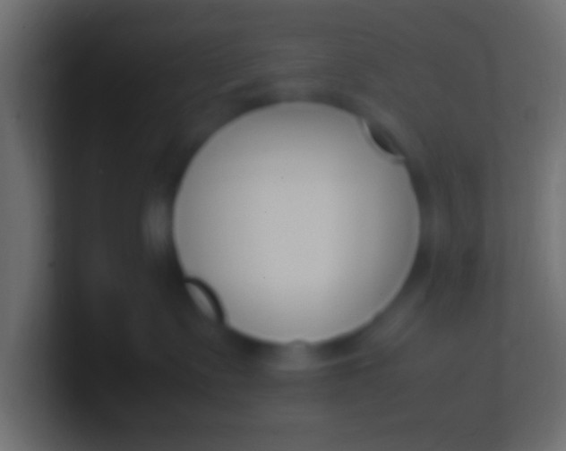 X0000100770335200807031215
