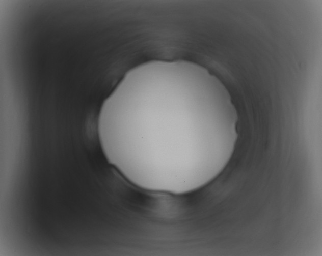 X0000100770336200807031215