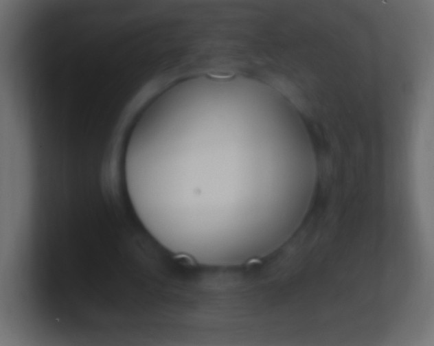 X0000100770340200807031215