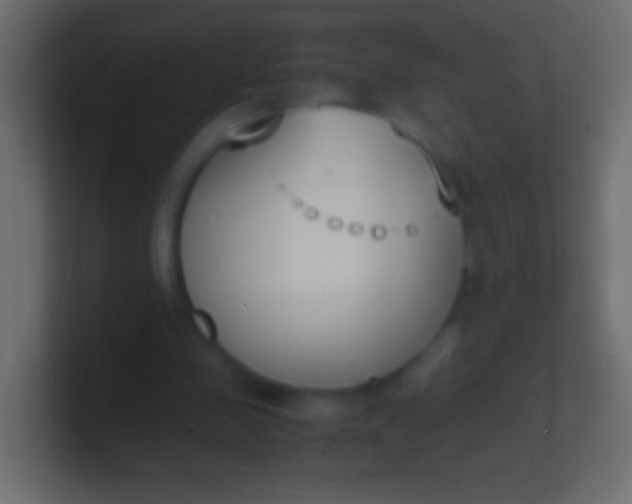 X0000100770341200807031215