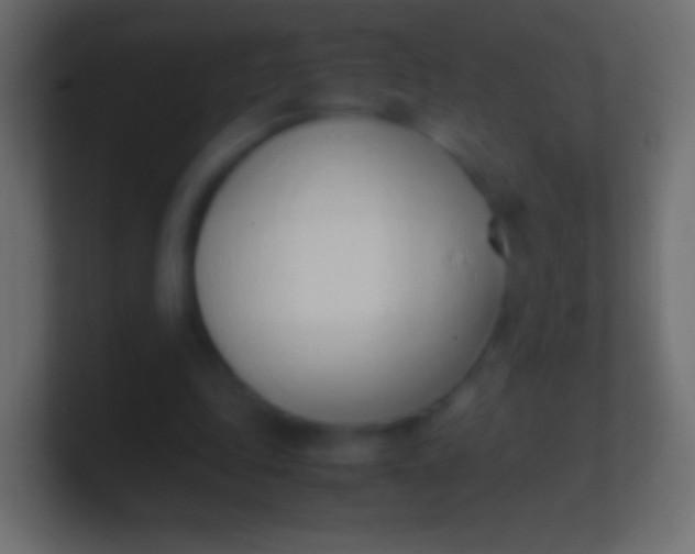 X0000100770343200807031215