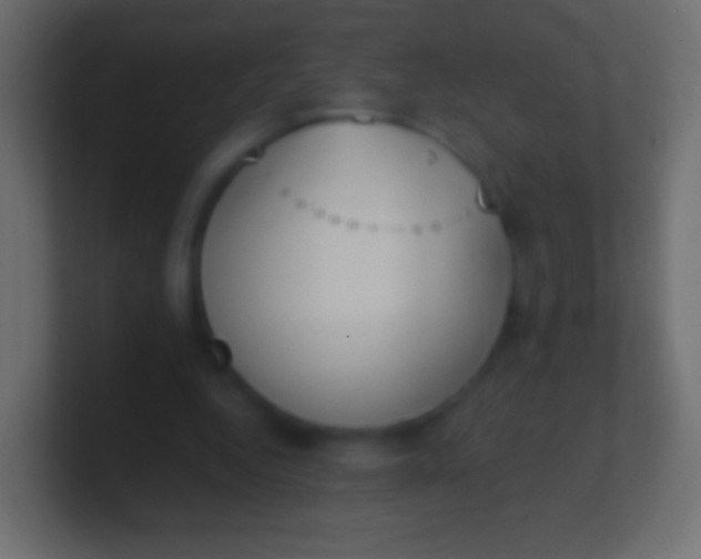 X0000100770344200807031215