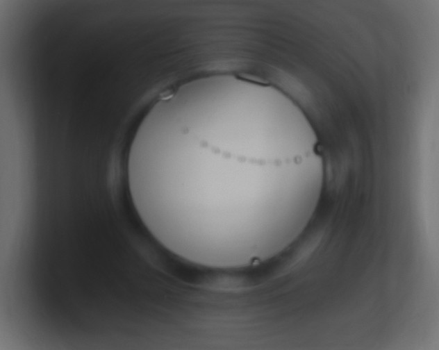 X0000100770348200807031215