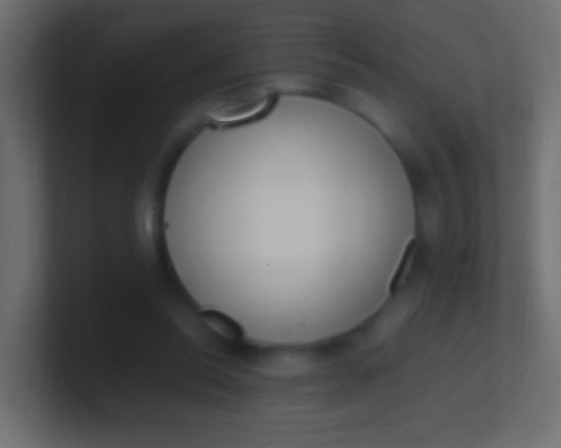 X0000100770350200807031215