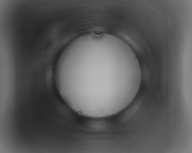 X0000100770351200807031215