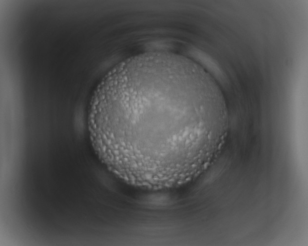 X0000100770353200807031215