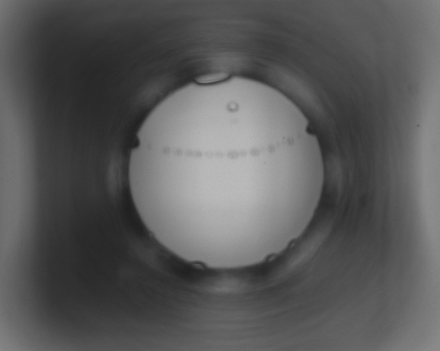 X0000100770356200807031215