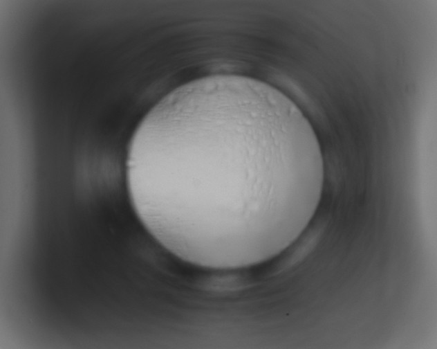 X0000100770357200807031215
