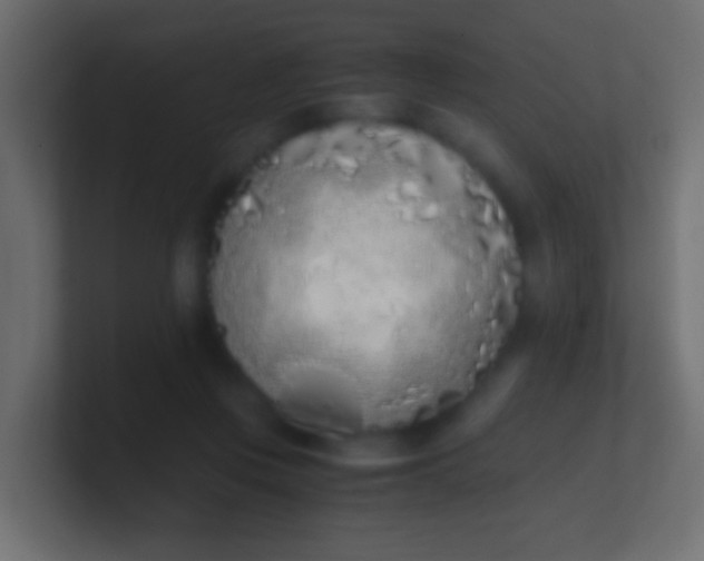 X0000100770359200807031215