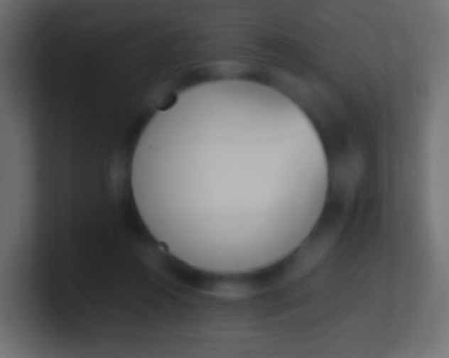X0000100770360200807031215