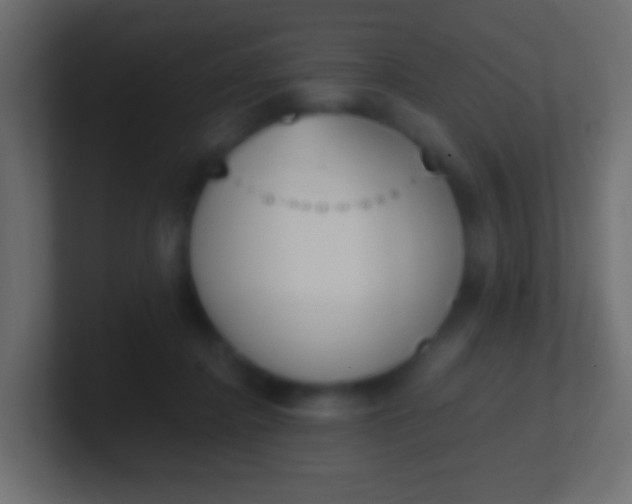 X0000100770364200807031215