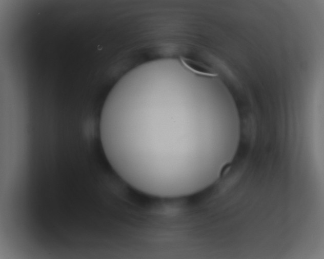 X0000100770368200807031215