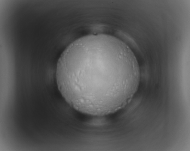 X0000100770369200807031215
