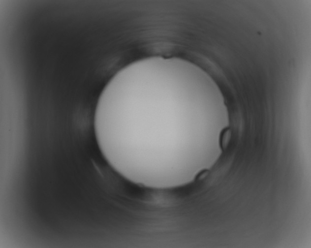 X0000100770372200807031215