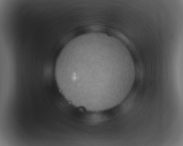 X0000100770377200807031215