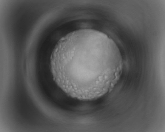 X0000100770381200807031215