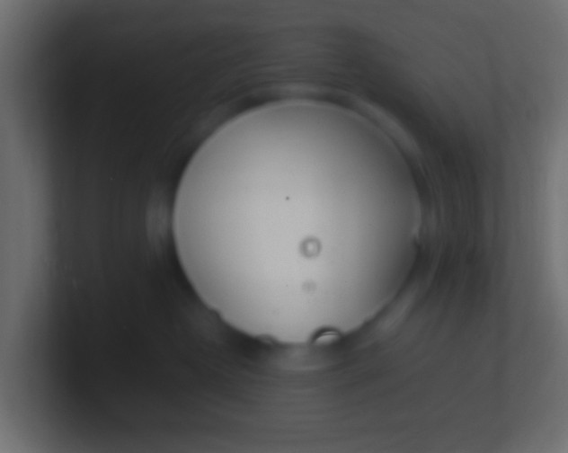 X0000100770382200807031215