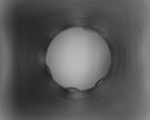 X0000100770384200807031215