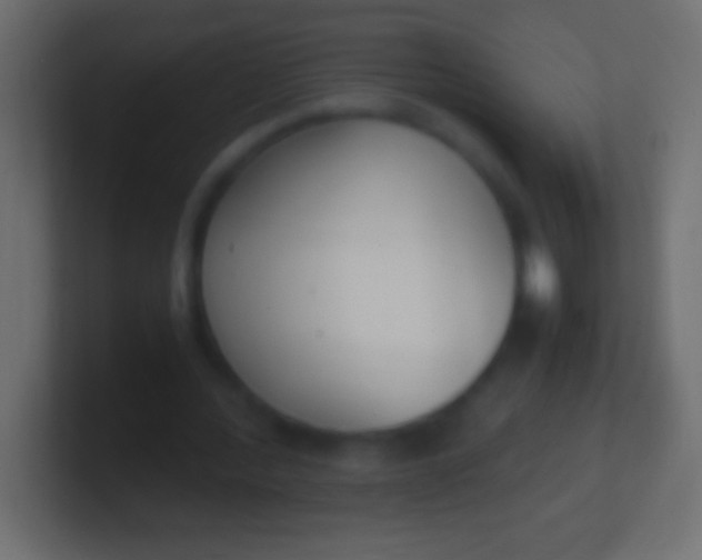 X0000100770388200807031215