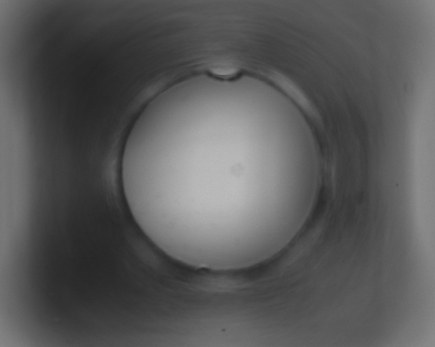 X0000100770389200807031215