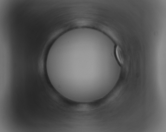 X0000100770391200807031215