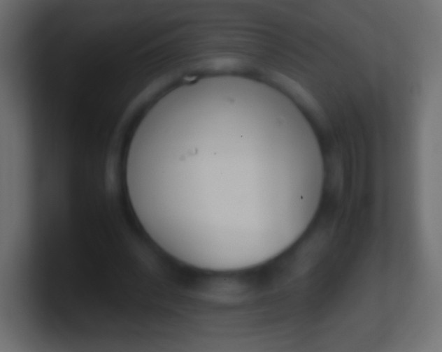 X0000100770392200807031215