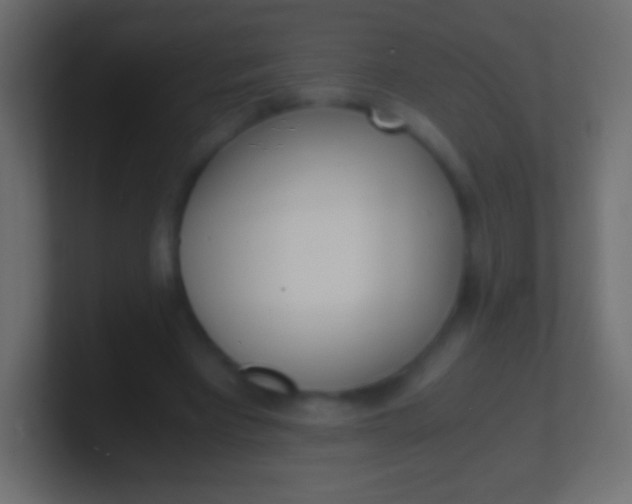 X0000100770393200807031214