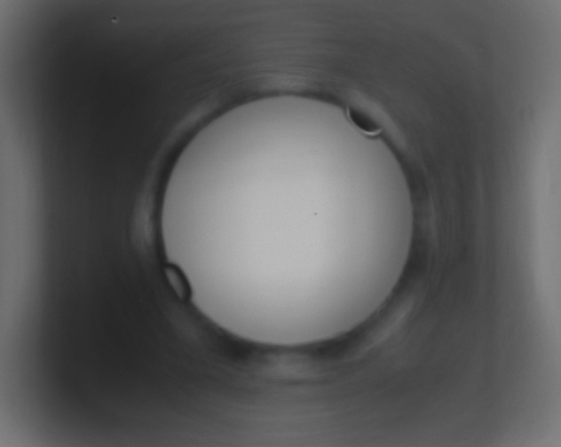 X0000100770395200807031214