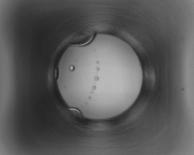 X0000100770396200807031214